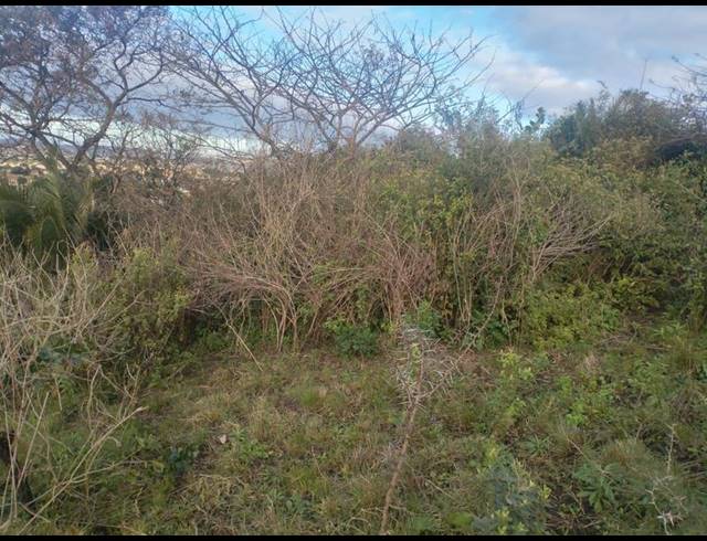 LAND FOR SALE IN NGWELEZANA